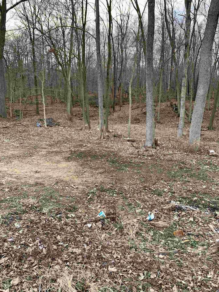 880 Hitzfield Street - Photo 1