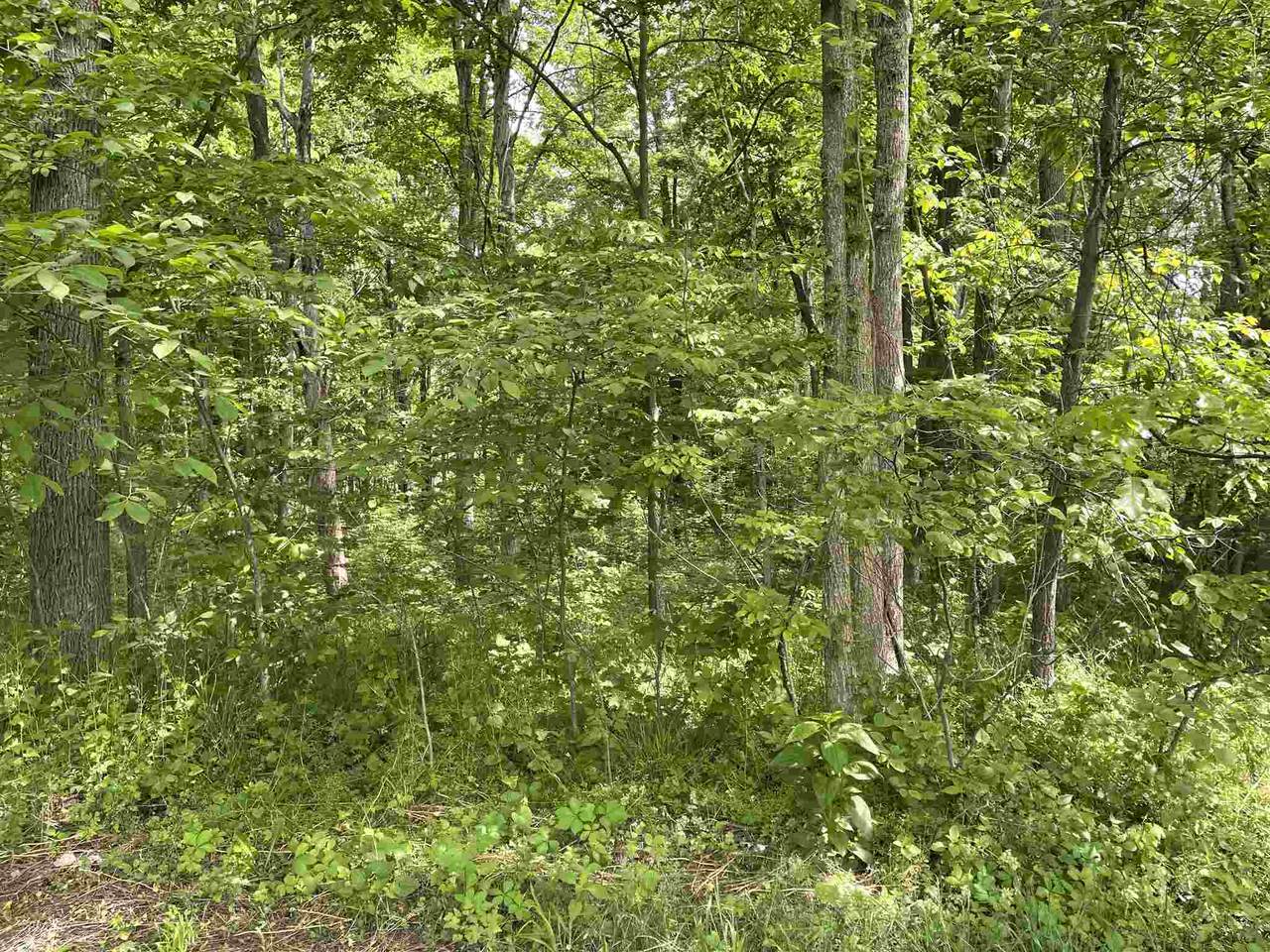 0 Maplewood Trail - Photo 1