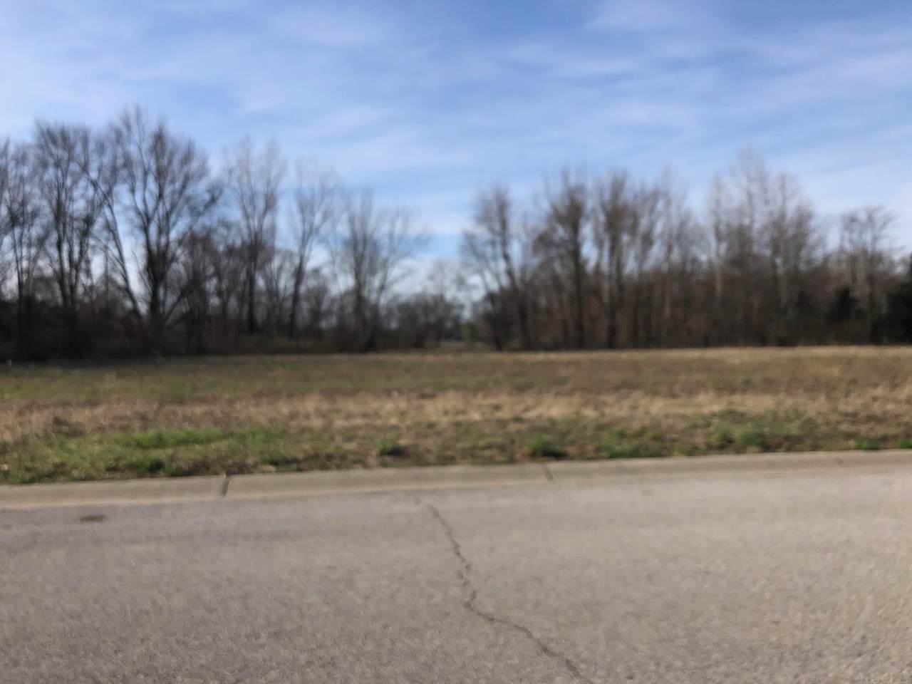 465 Forks Of The Wabash Way - Photo 1