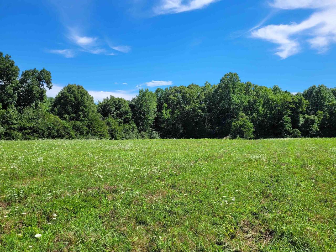 5349 Greene County Line Road - Photo 1