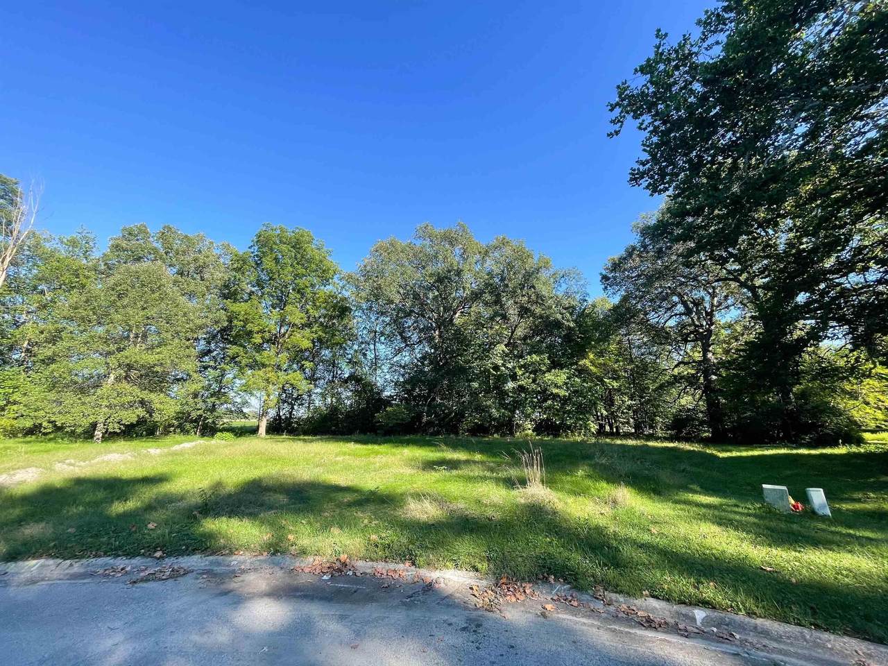 2072 Branch Court - Photo 1
