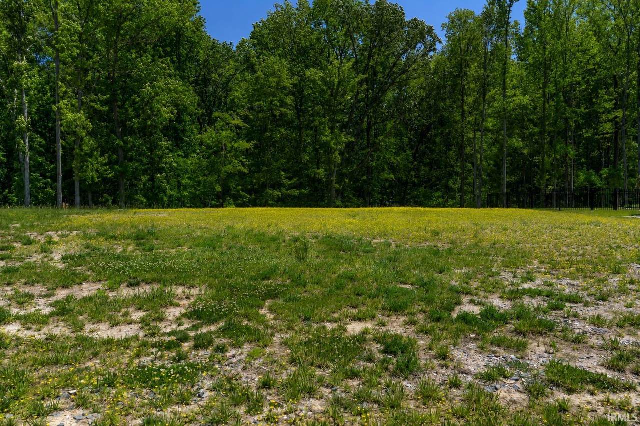 2234 Victoria Woods Drive - Photo 1