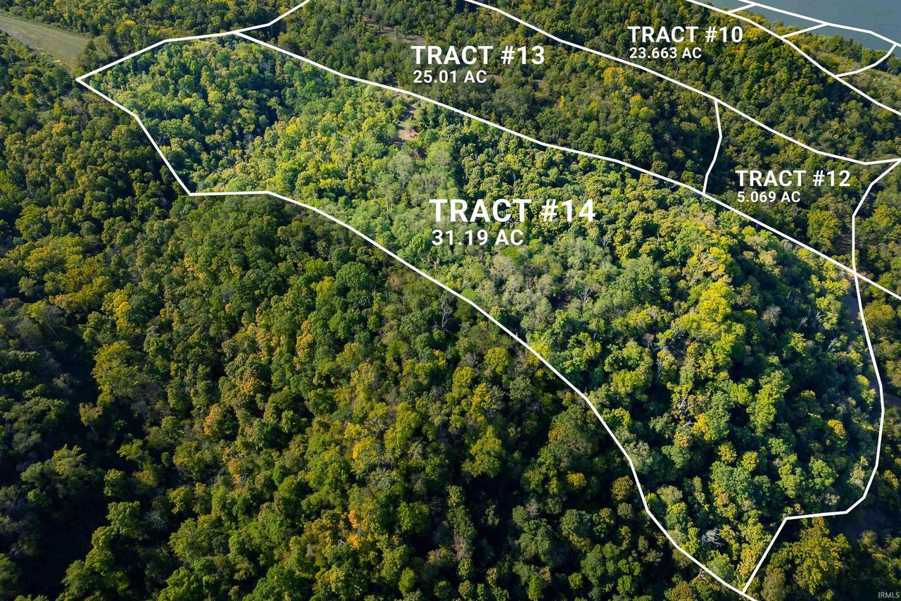 Tract 14 State Road 156 Road - Photo 1