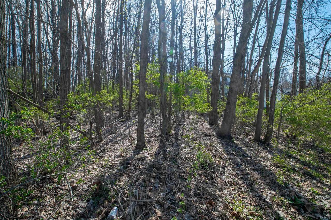 2620 Emerson Forest Parkway - Photo 1