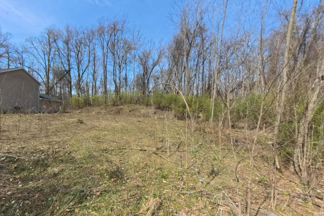 2603 Emerson Forest Parkway - Photo 1