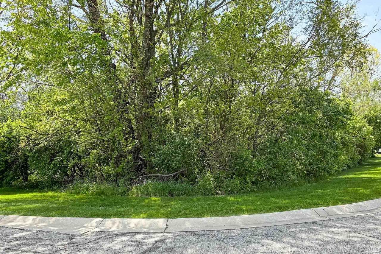 53420 Old Woodbridge Court - Photo 1