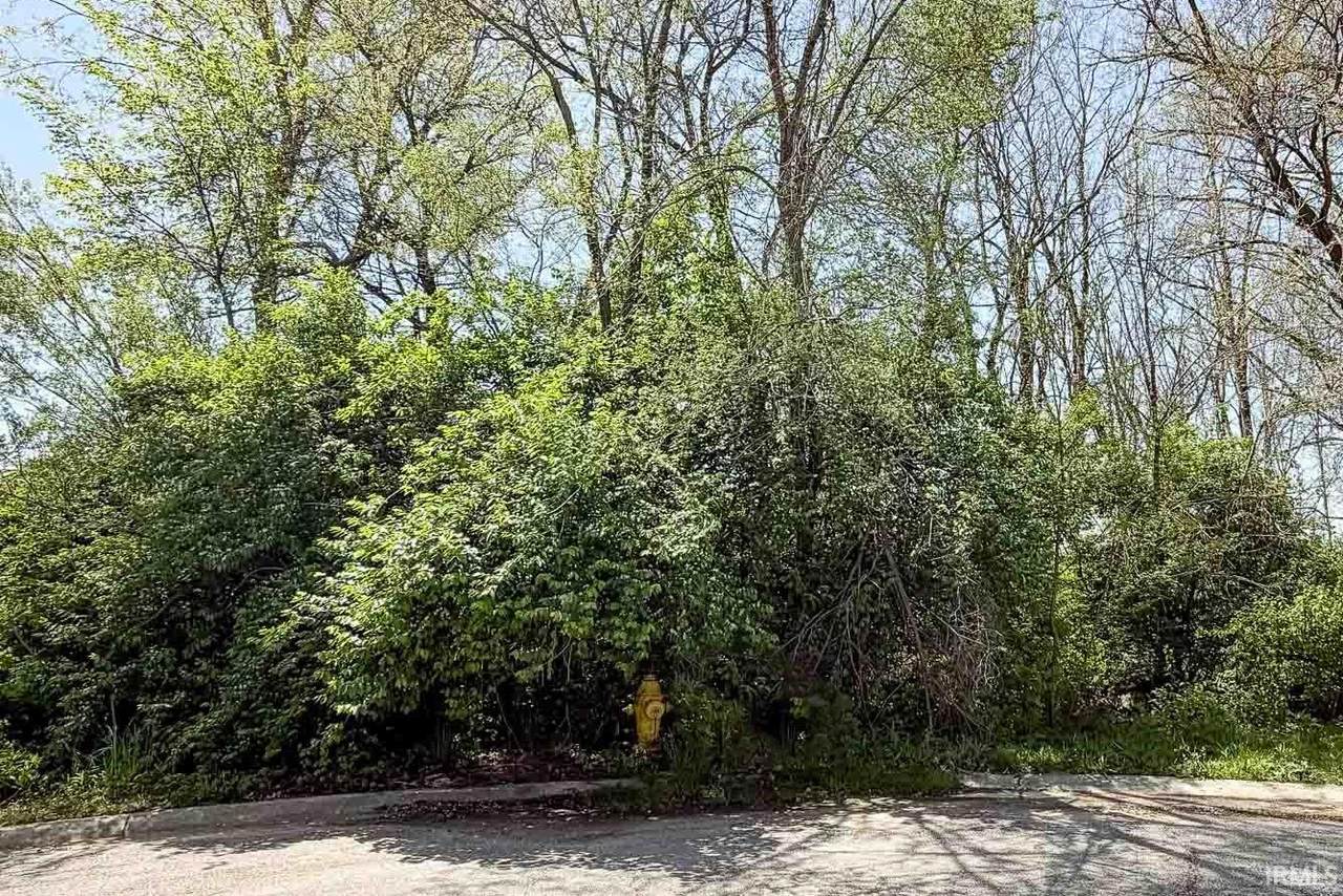 53468 Old Woodbridge Court - Photo 1