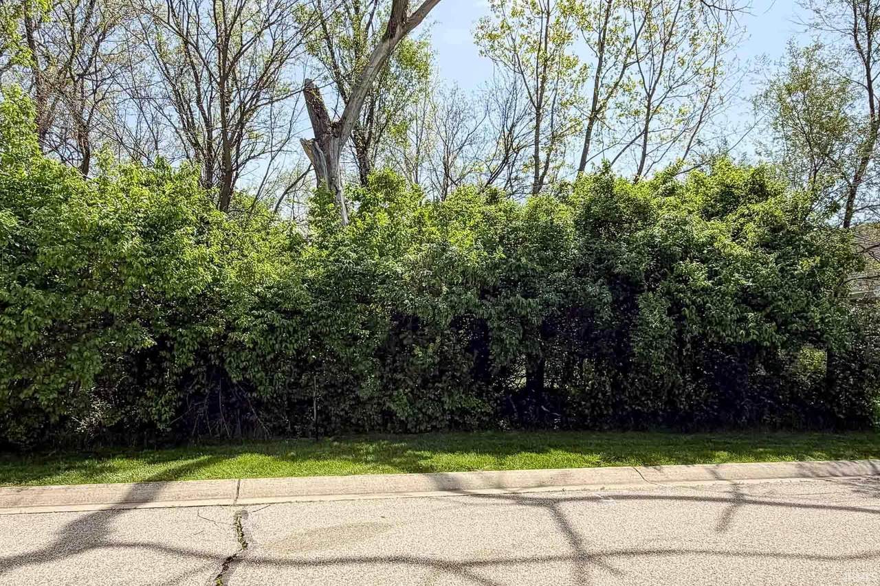 53434 Old Woodbridge Court - Photo 1