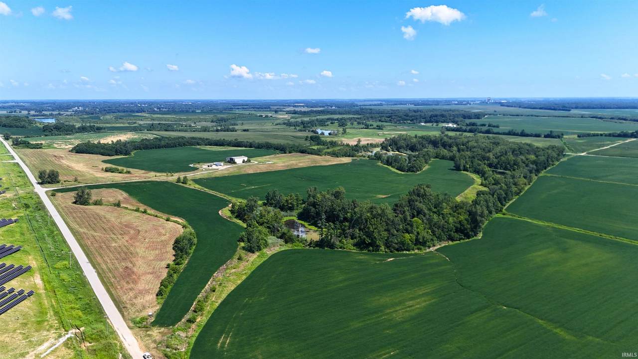 42+/- Acres Wampler Road - Photo 1