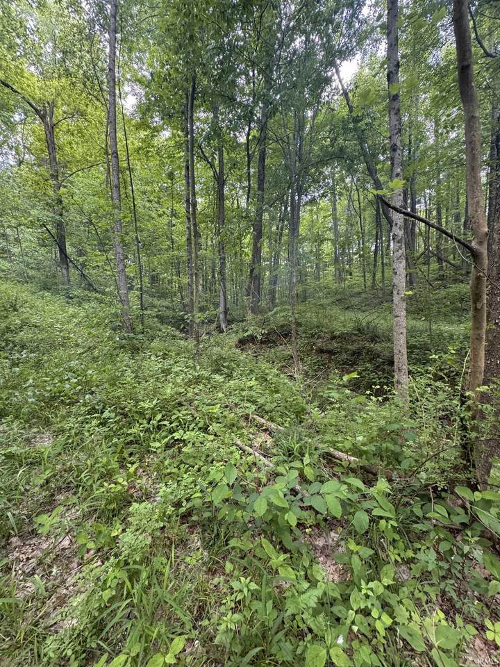https://bt-photos.global.ssl.fastly.net/irmls/1280_boomver_2_202613280-2.jpg