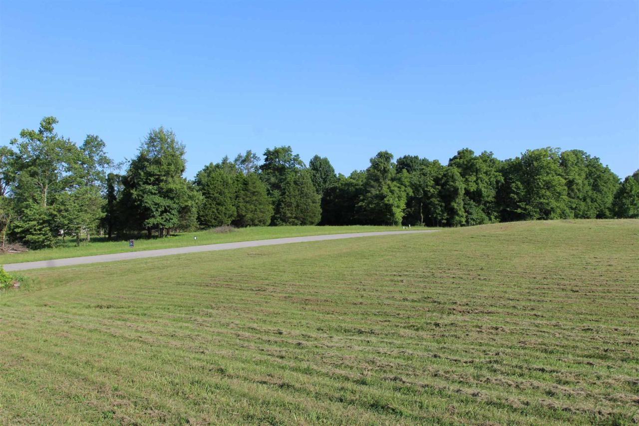 1652 Tierney (Lot 45) Street - Photo 1