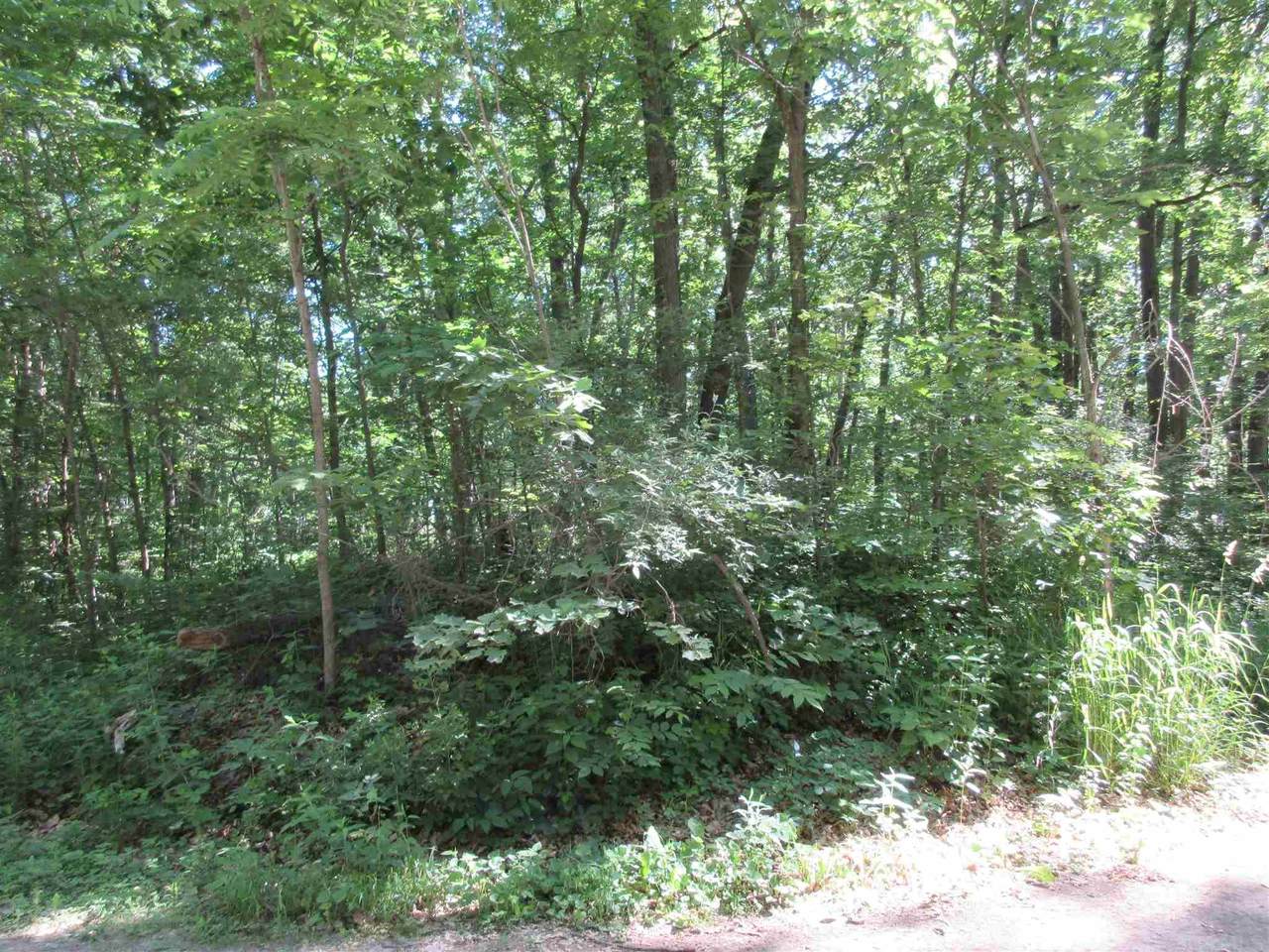 Ln 100 A Lots 67 & 68 Lane - Photo 1