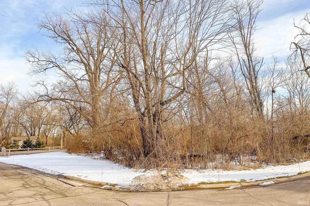 53420 Old Woodbridge Court - Photo 1