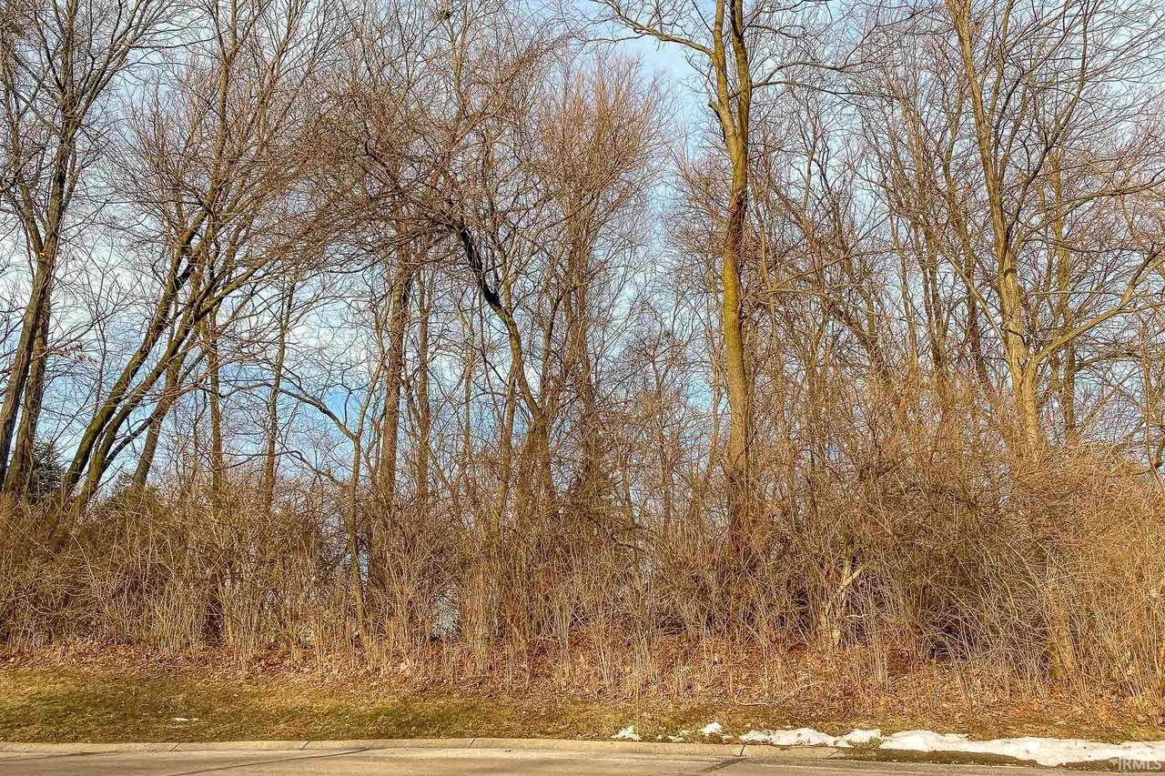 53384 Stoneridge Drive - Photo 1