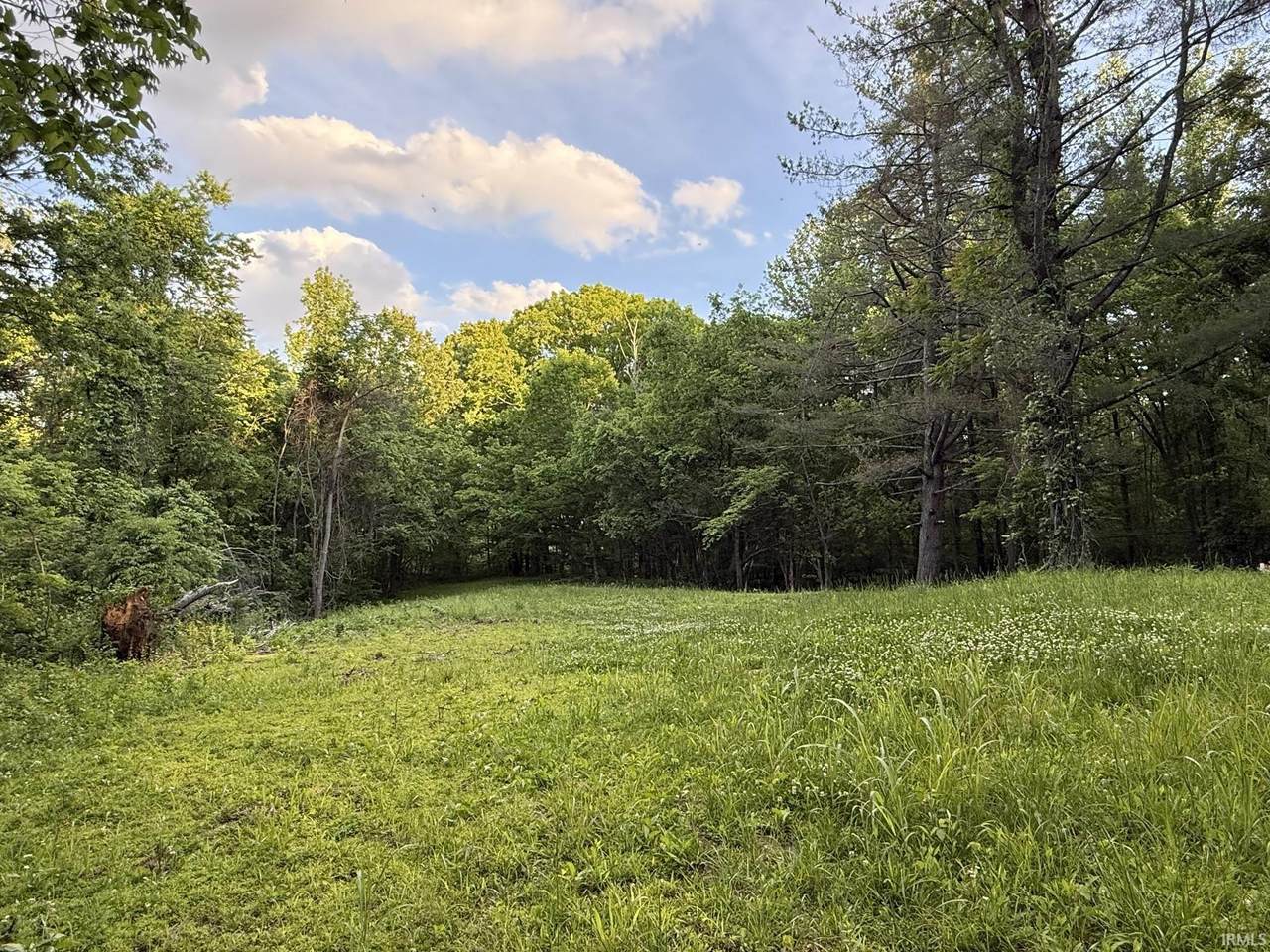 6401 Middle Mount Vernon Road - Photo 1