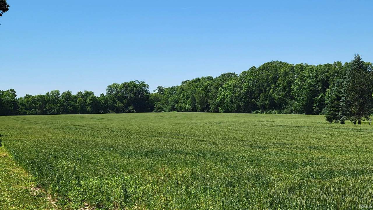  Evergreen Road - Photo 1