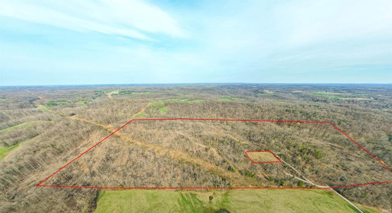 TBD Hillham Rd S - Photo 1
