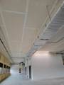 1101 Parkway  #200 Avenue - Photo 12