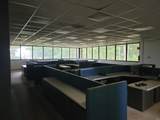 917 Liechty Road - Photo 4