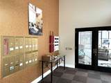 301 Walnut Street - Photo 32