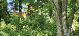 lot 2 Waters Edge Drive - Photo 7