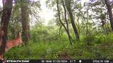 TBD St Rd 39 - Photo 2