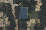 00 Haw Creek Road - Photo 1