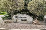 26050 Westwood Hills Drive - Photo 4