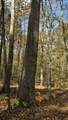 County Road 150 W - Photo 17
