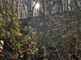 2949 Happy Hollow Road - Photo 4