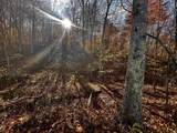 2949 Happy Hollow Road - Photo 9