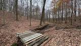  State Road 164 Road - Photo 21