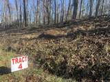 Tract 4 State Line Rd Road - Photo 11