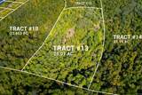 Tract 13 State Road 156 Road - Photo 4