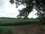 10800 Hwy 69 & Along Ohio River Road - Photo 14