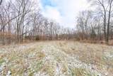 Tract 3 Skunk Hollow Road - Photo 14