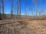 Tract 1 Dry Branch Road - Photo 4