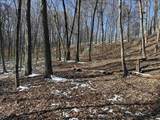 0 State Road 237 - Photo 16