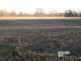 00 650 N - Photo 6