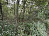 TBD Spring Drive - Photo 11