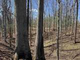 222 Pea Ridge Road - Photo 5