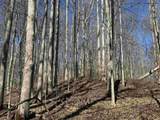 222 Pea Ridge Road - Photo 7