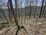 0 Old Us 52 Road - Photo 17