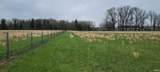 00 Frakes Street - Photo 6