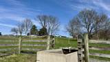 off W Side Buffalo Trace Road - Photo 21