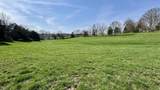 off W Side Buffalo Trace Road - Photo 28