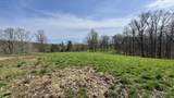 off W Side Buffalo Trace Road - Photo 32