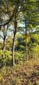0 Brushy Fork Road - Photo 16
