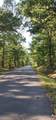 0 Brushy Fork Road - Photo 30