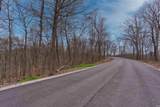 0 Brushy Fork Road - Photo 7